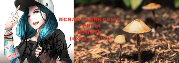 мяу мяу мука Куйбышев