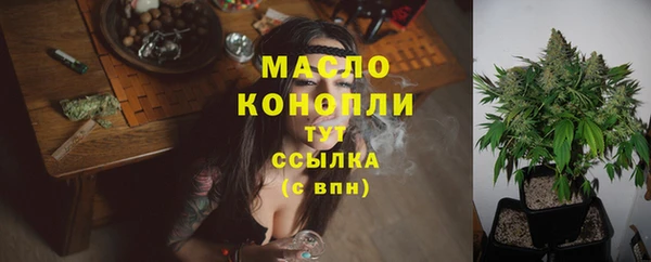 МДПВ Кукмор