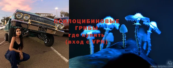 мяу мяу мука Куйбышев
