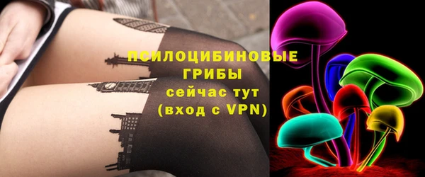 МДПВ Кукмор